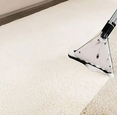 Professional Carpet Cleaning: What to Know, How to Book