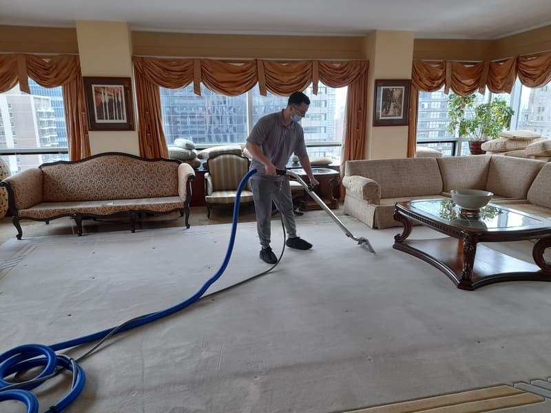 area rugs cleaning