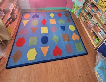 Limpiadores de alfombras locales