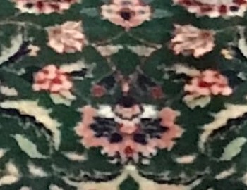 Solución de limpieza ecológica aplicada a una alfombra manchada para descomponer los residuos a base de aceite y a base de agua antes de la extracción con agua caliente.