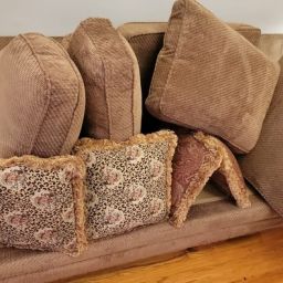 Vista microscópica en primer plano de ácaros del polvo y alérgenos incrustados en las fibras de tela de un sofá de segunda mano que requieren limpieza profesional.