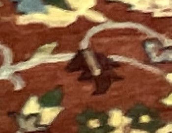 Limpiadores de alfombras pakistaníes