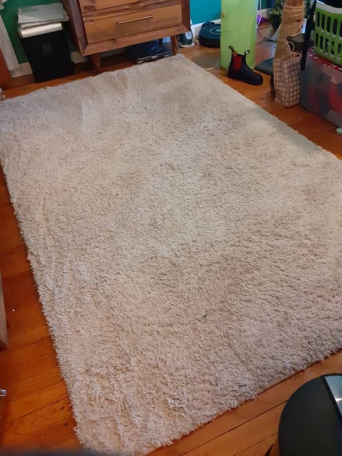 best way to clean a shag rug