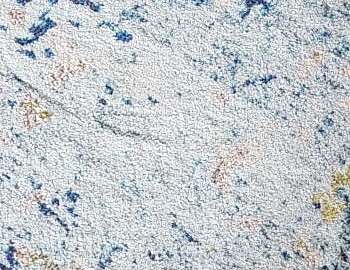 servicios de limpieza de alfombras