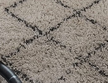 servicios de limpieza de alfombras