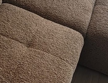 ¿Se pueden encontrar chinches en el sofá?