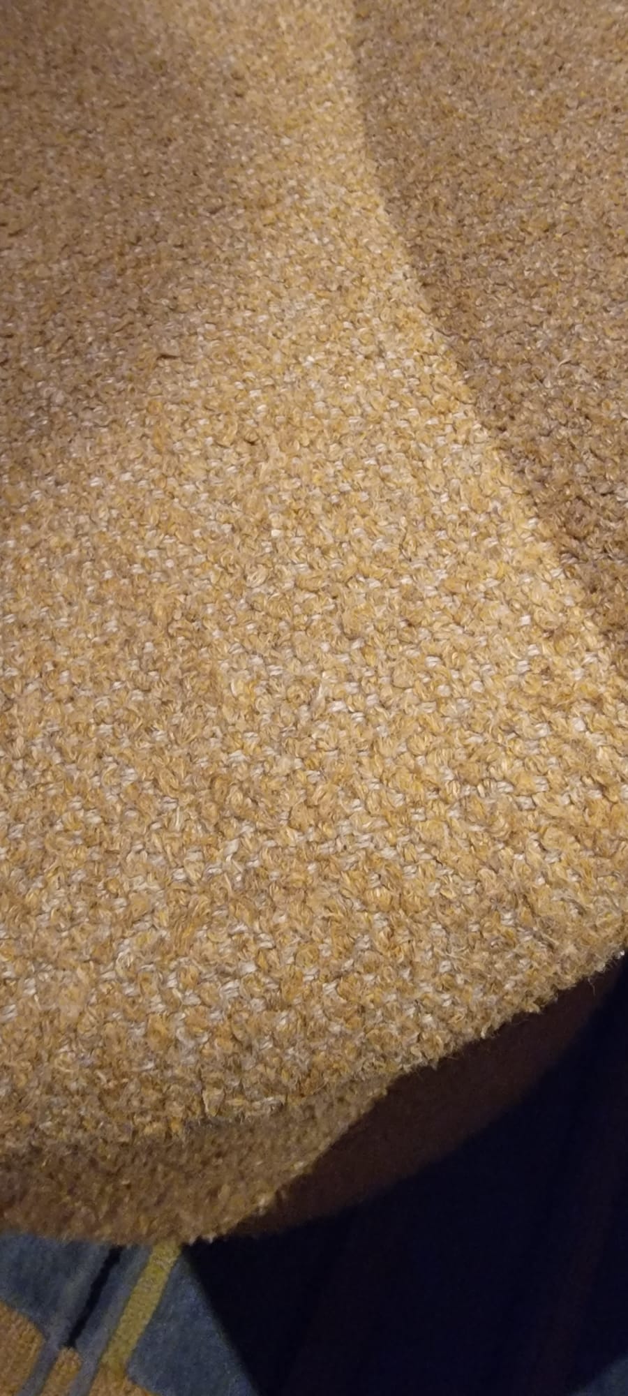 limpieza de alfombras en Nueva York, limpiador de alfombras orientales, limpiador de alfombras en Nueva York