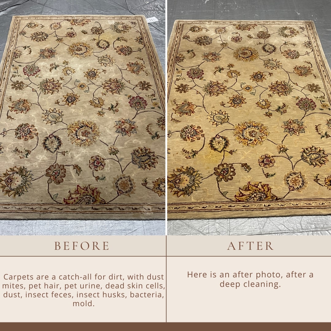 Costo de limpieza profesional de alfombras en Nueva York.