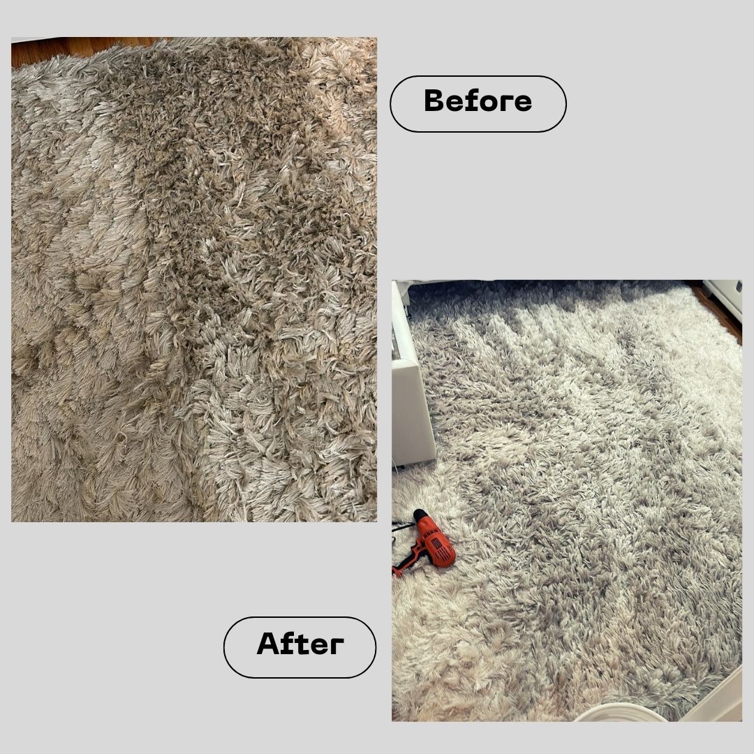 Gallery PristineGreen Upholstery and Carpet Cleaning