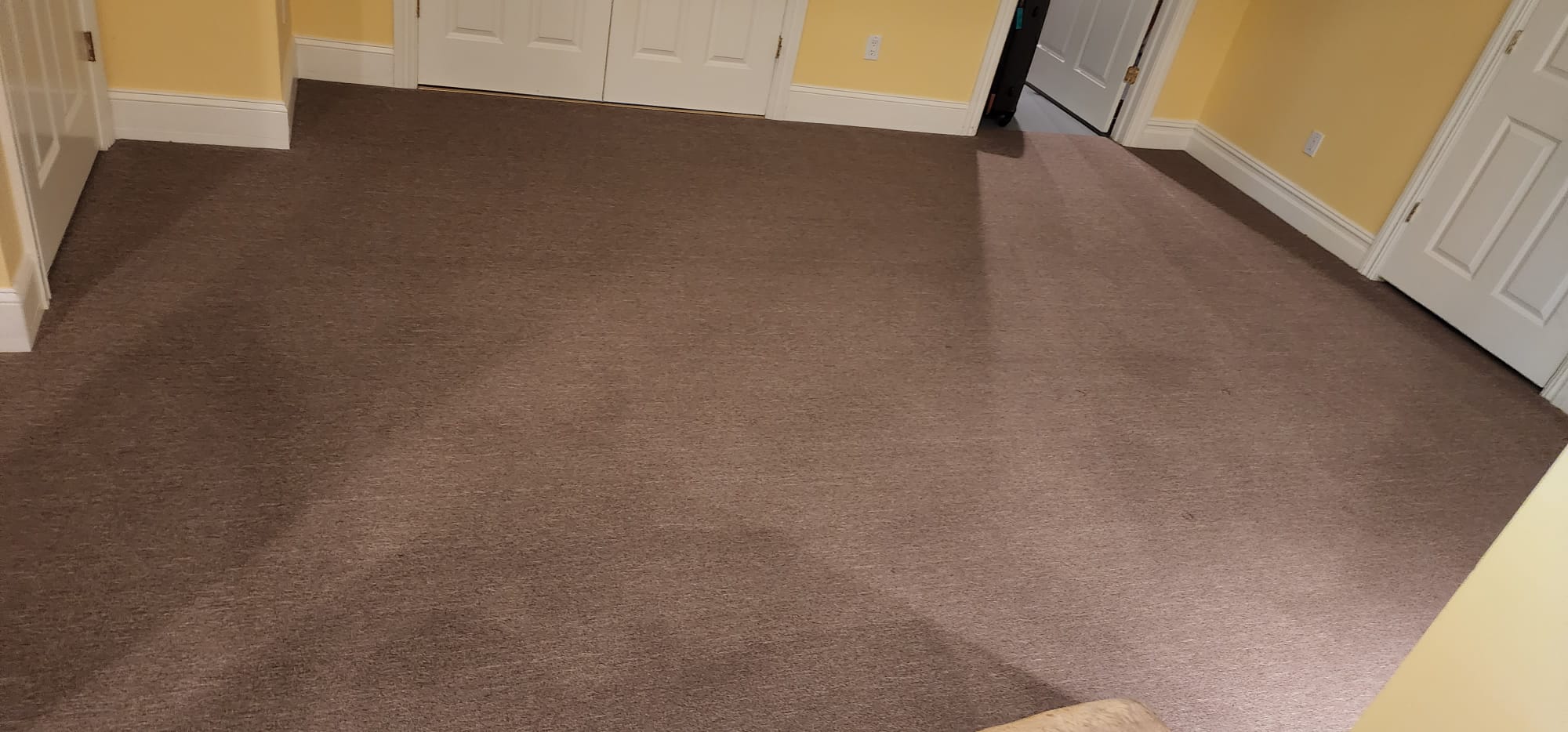 limpiador de alfombras orientales