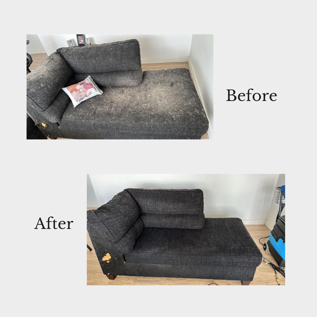 Couch Cleaning  PristineGreen Upholstery and Carpet Cleaning