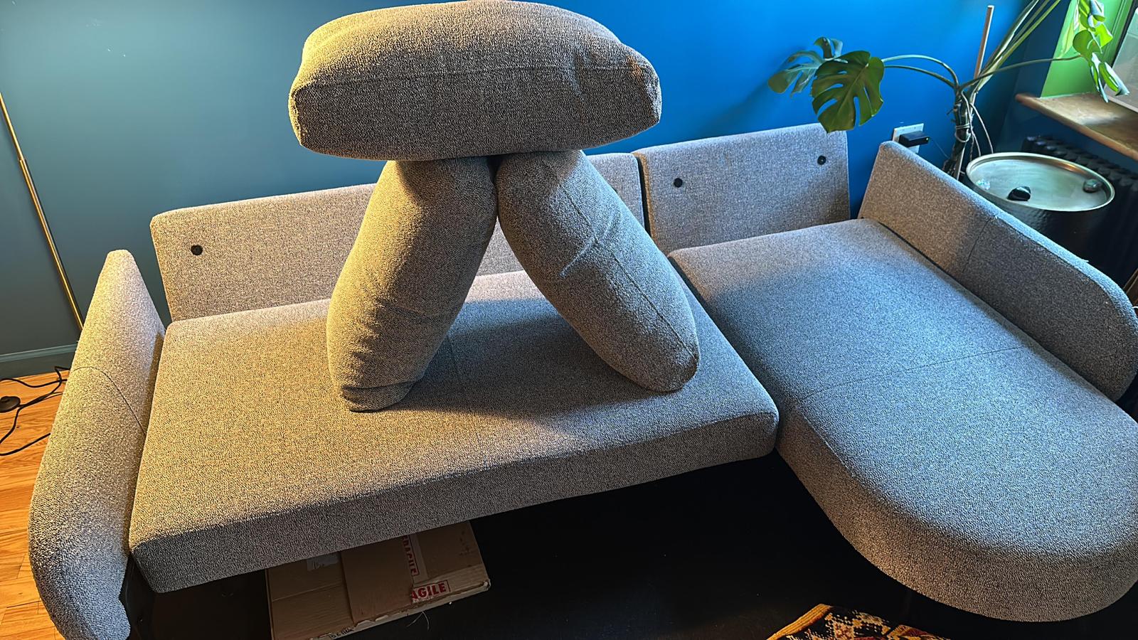 Limpieza a vapor vs champú para sofá