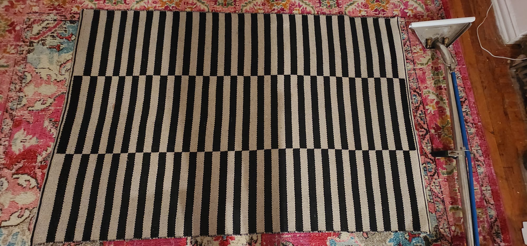 Limpieza de alfombras en Nueva York.