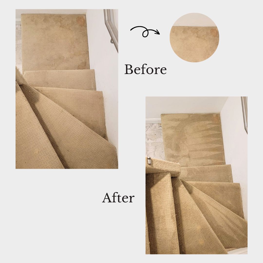 Limpieza a vapor vs limpieza profunda de alfombras