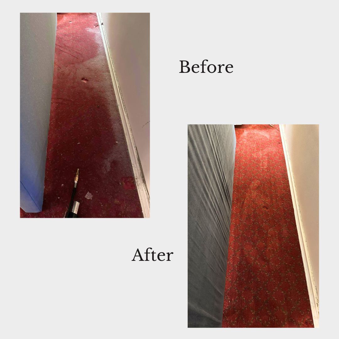 Limpieza a vapor vs limpieza profunda de alfombras