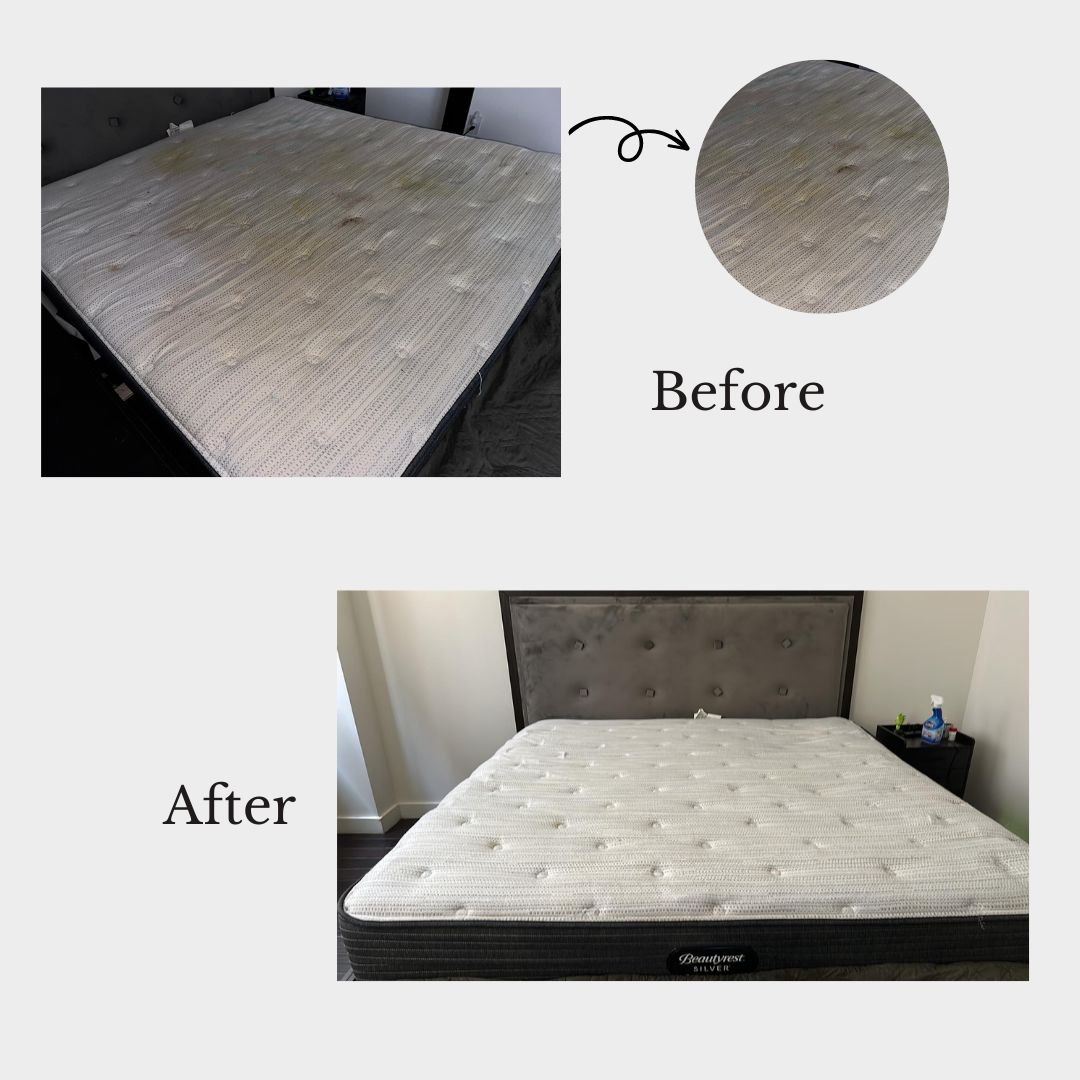 Limpiador natural para tapicería