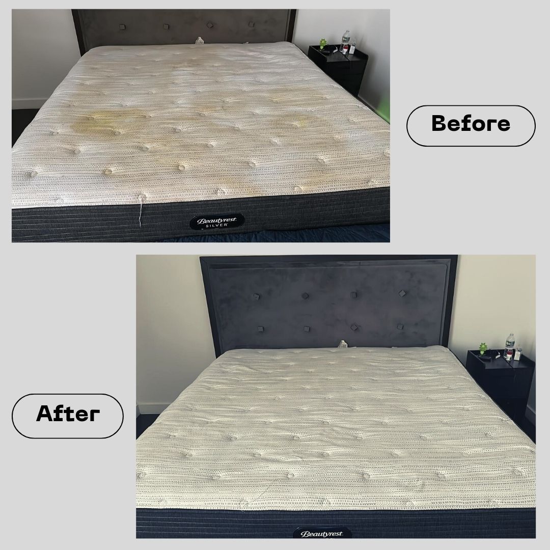 Limpieza de tapicería en Glendale