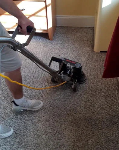 Green and non-toxic carpet cleaning services